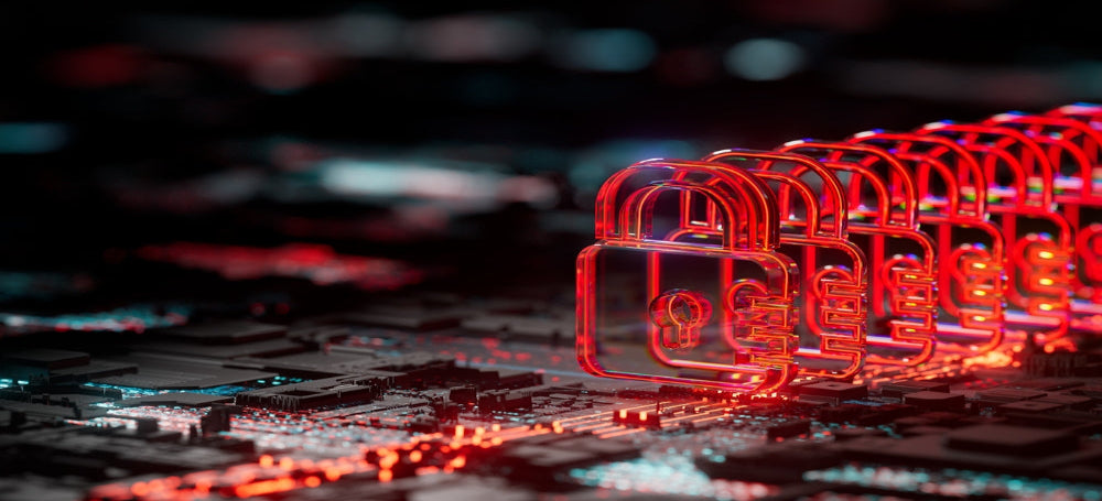 Introduction to Cyber Security Principles